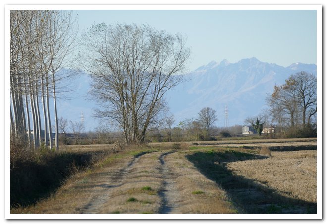 Celpenchio Stellerranti