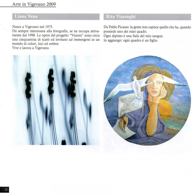 Arte in Vigevano 2009