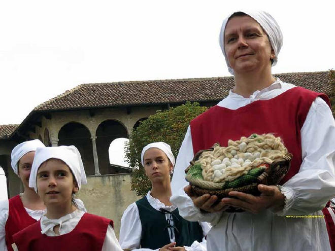 Palio di Vigevano 2012 foto Mario Mainino