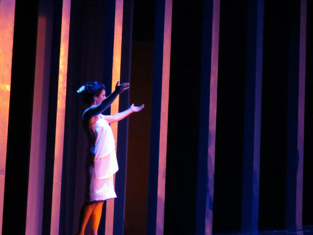 Coccia 2014 Traviata
