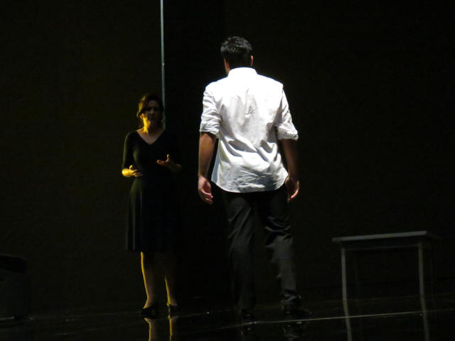 Coccia 2014 Traviata