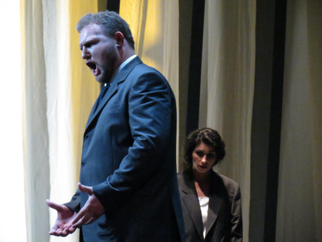 Coccia 2014 Traviata