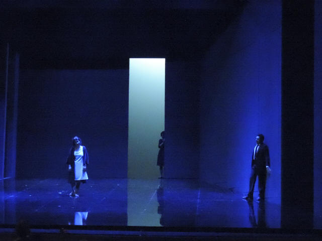 Coccia 2014 Traviata