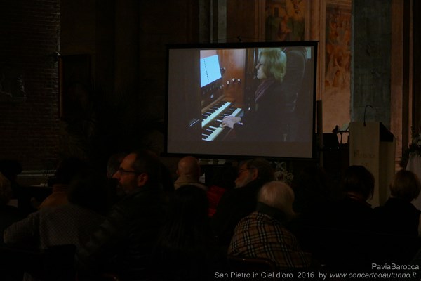 Pavia Barocca
