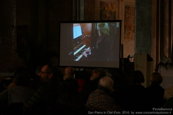 Pavia Barocca