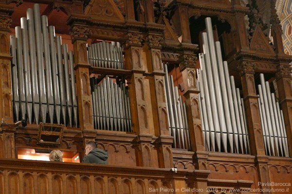 Pavia Barocca