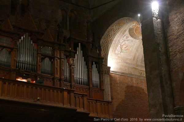 Pavia Barocca