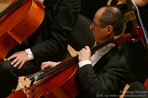 Pomeriggi Musicali