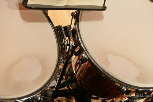 Pomeriggi Musicali