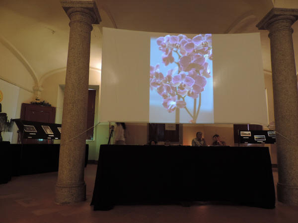 2078 Gravellona Festa Arte
