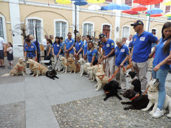 2324 Gravellona Festa Arte