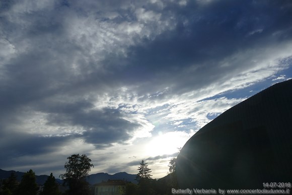 Verbania Butterfly 2016