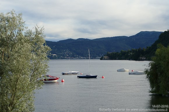 Verbania Butterfly 2016