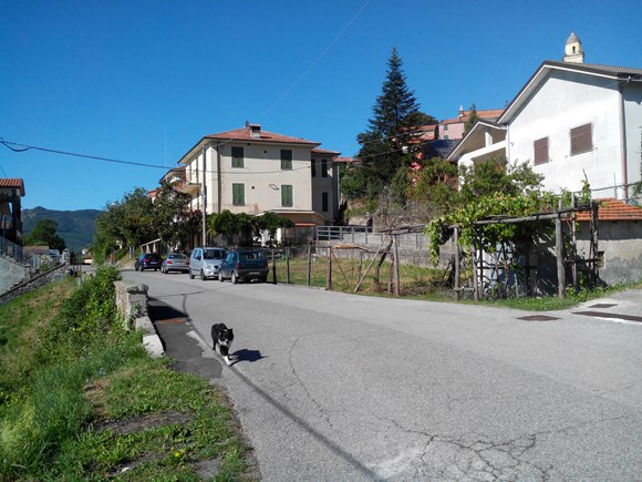 Varese Ligure, Rapallo, Torre del Lago