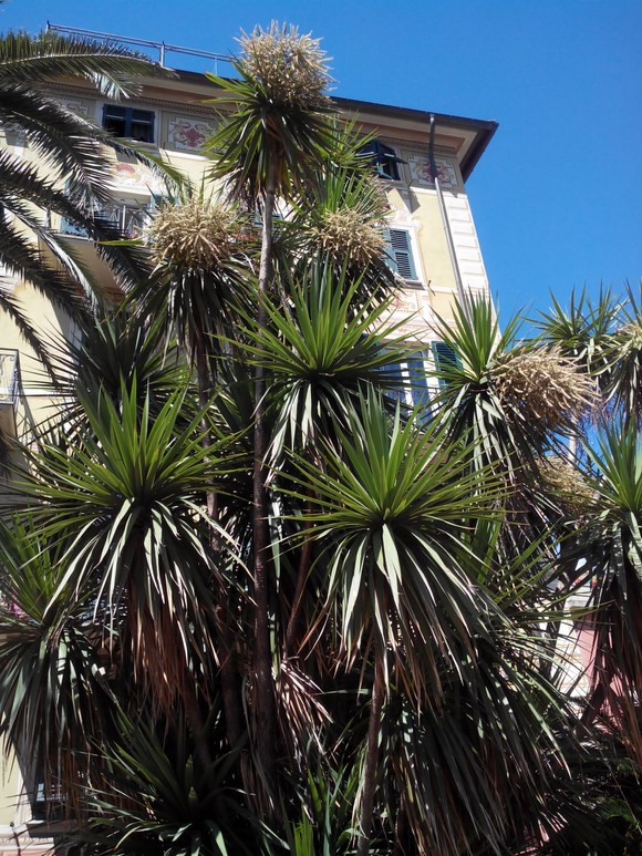 Varese Ligure, Rapallo, Torre del Lago