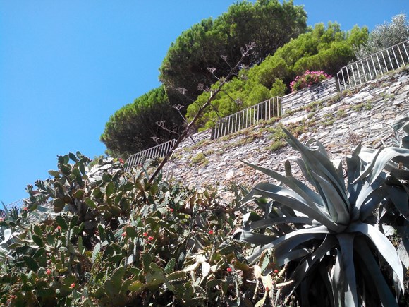 Varese Ligure, Rapallo, Torre del Lago