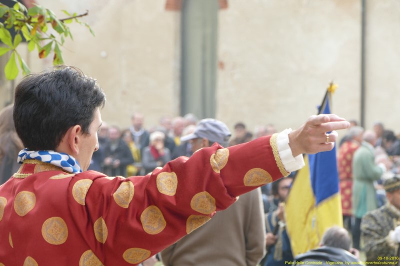 Palio delle Contrade 2016 Vigevano