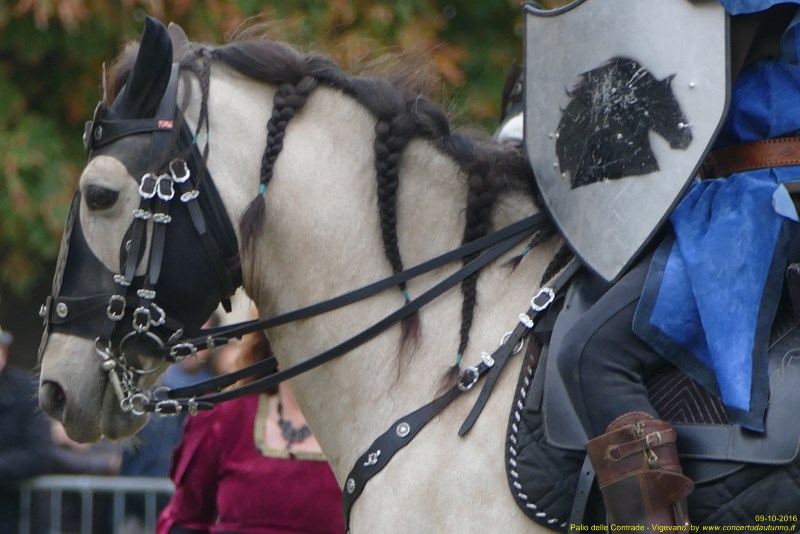 Palio delle Contrade 2016 Vigevano