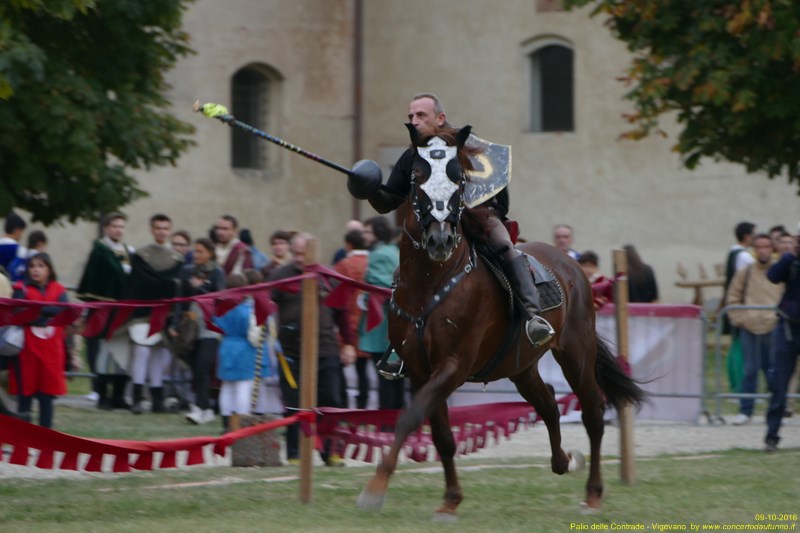 Palio delle Contrade 2016 Vigevano