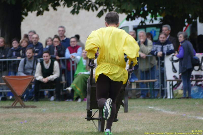 Palio delle Contrade 2016 Vigevano