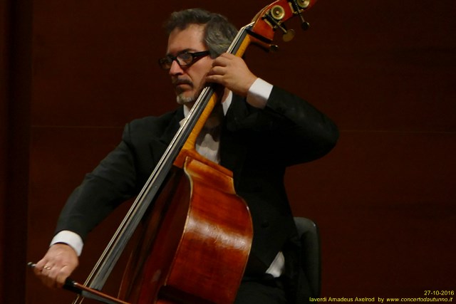 laVerdi 2016 Amadeus