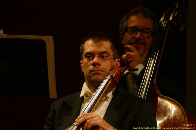 laVerdi 2016 Amadeus