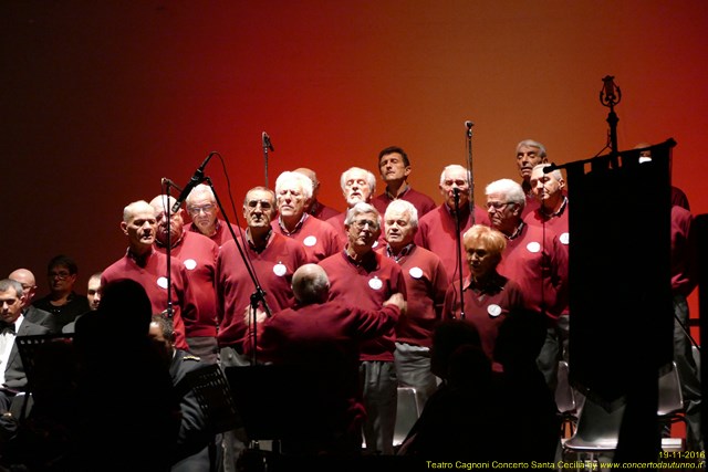 Cantori, Vetta, Banda Santa Cecilia, Vigevano