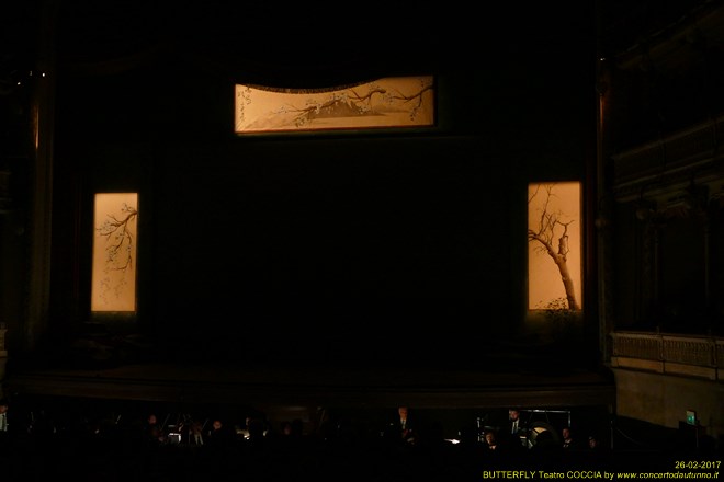 Madama BUTTERFLY Teatro Coccia Novara