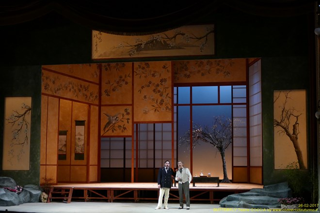 Madama BUTTERFLY Teatro Coccia Novara