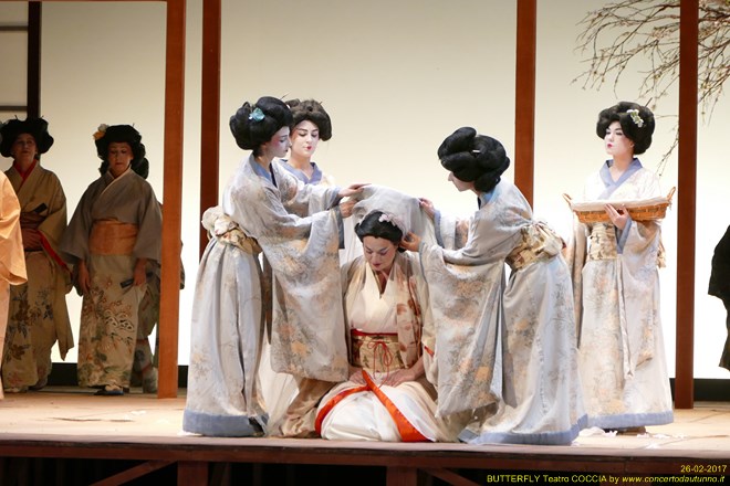 Madama BUTTERFLY Teatro Coccia Novara