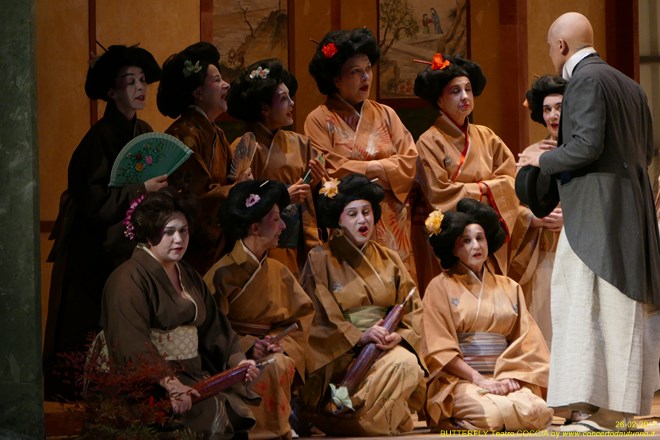 Madama BUTTERFLY Teatro Coccia Novara