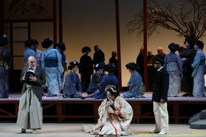 Madama BUTTERFLY Teatro Coccia Novara