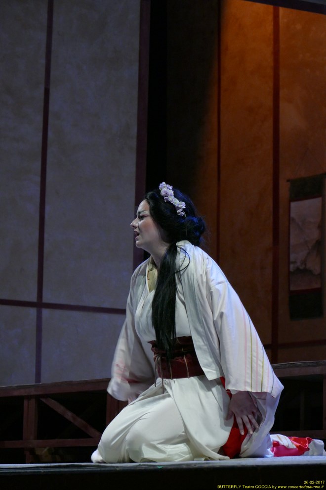 Madama BUTTERFLY Teatro Coccia Novara