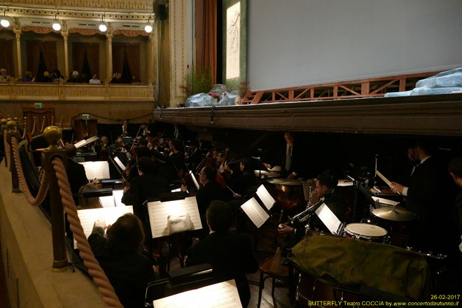 Madama BUTTERFLY Teatro Coccia Novara