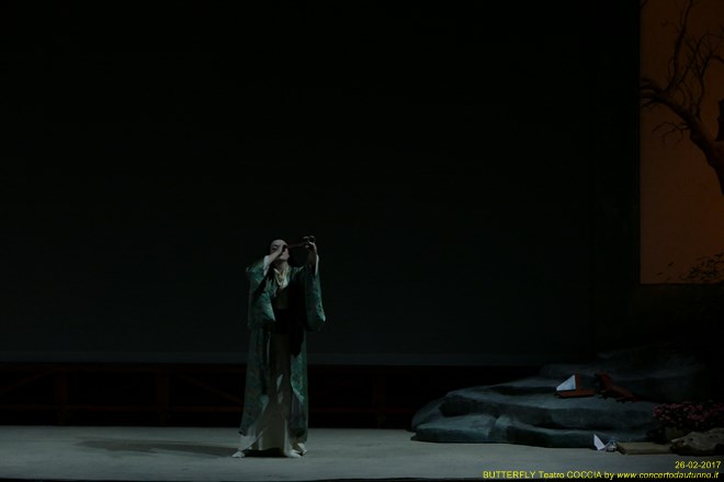 Madama BUTTERFLY Teatro Coccia Novara