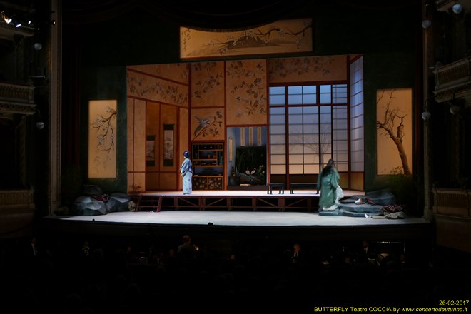 Madama BUTTERFLY Teatro Coccia Novara