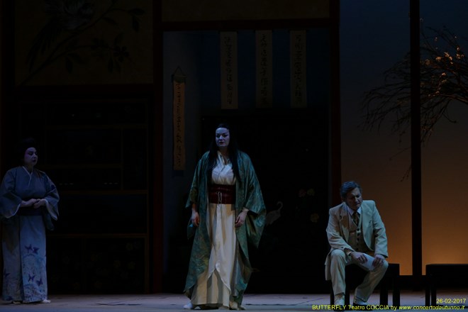 Madama BUTTERFLY Teatro Coccia Novara