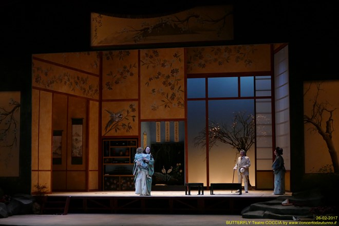 Madama BUTTERFLY Teatro Coccia Novara