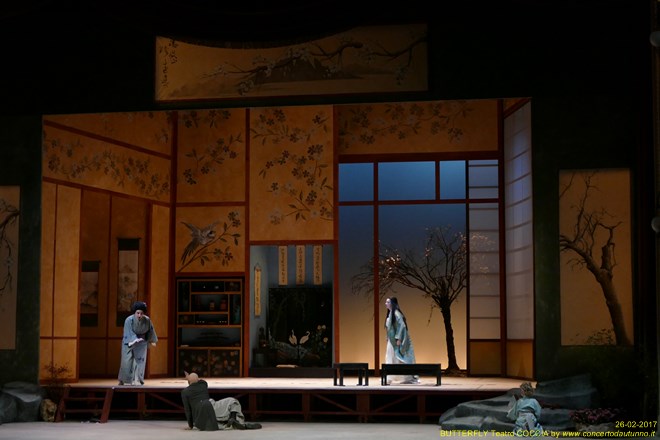 Madama BUTTERFLY Teatro Coccia Novara