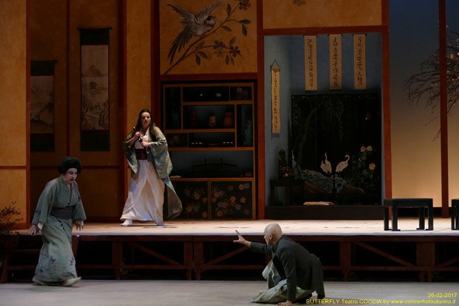 Madama BUTTERFLY Teatro Coccia Novara