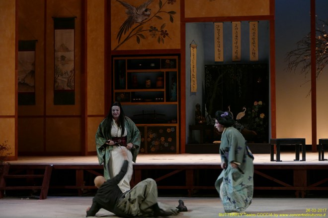 Madama BUTTERFLY Teatro Coccia Novara