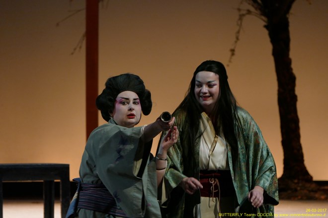 Madama BUTTERFLY Teatro Coccia Novara