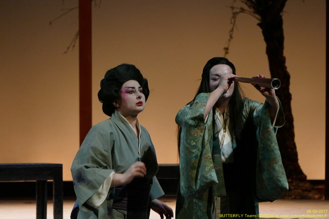 Madama BUTTERFLY Teatro Coccia Novara