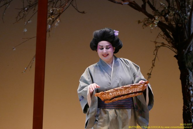 Madama BUTTERFLY Teatro Coccia Novara