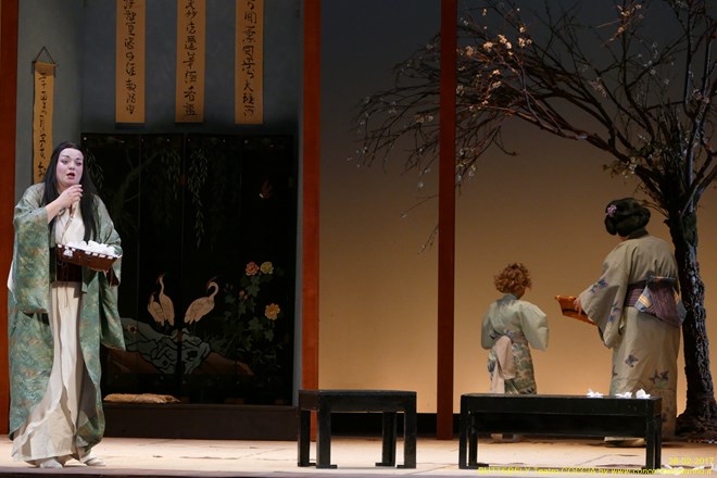 Madama BUTTERFLY Teatro Coccia Novara