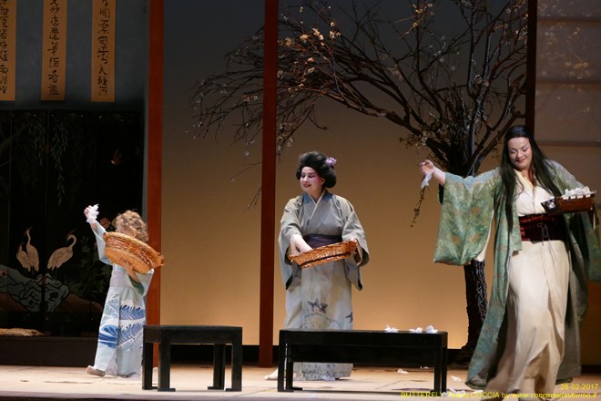 Madama BUTTERFLY Teatro Coccia Novara