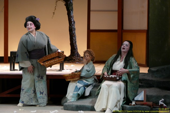 Madama BUTTERFLY Teatro Coccia Novara