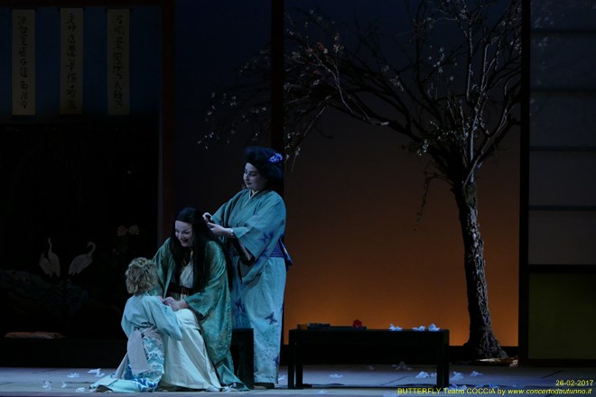 Madama BUTTERFLY Teatro Coccia Novara