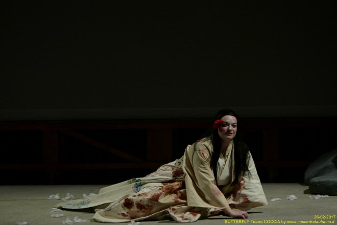 Madama BUTTERFLY Teatro Coccia Novara