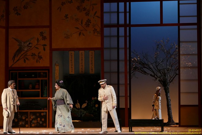 Madama BUTTERFLY Teatro Coccia Novara